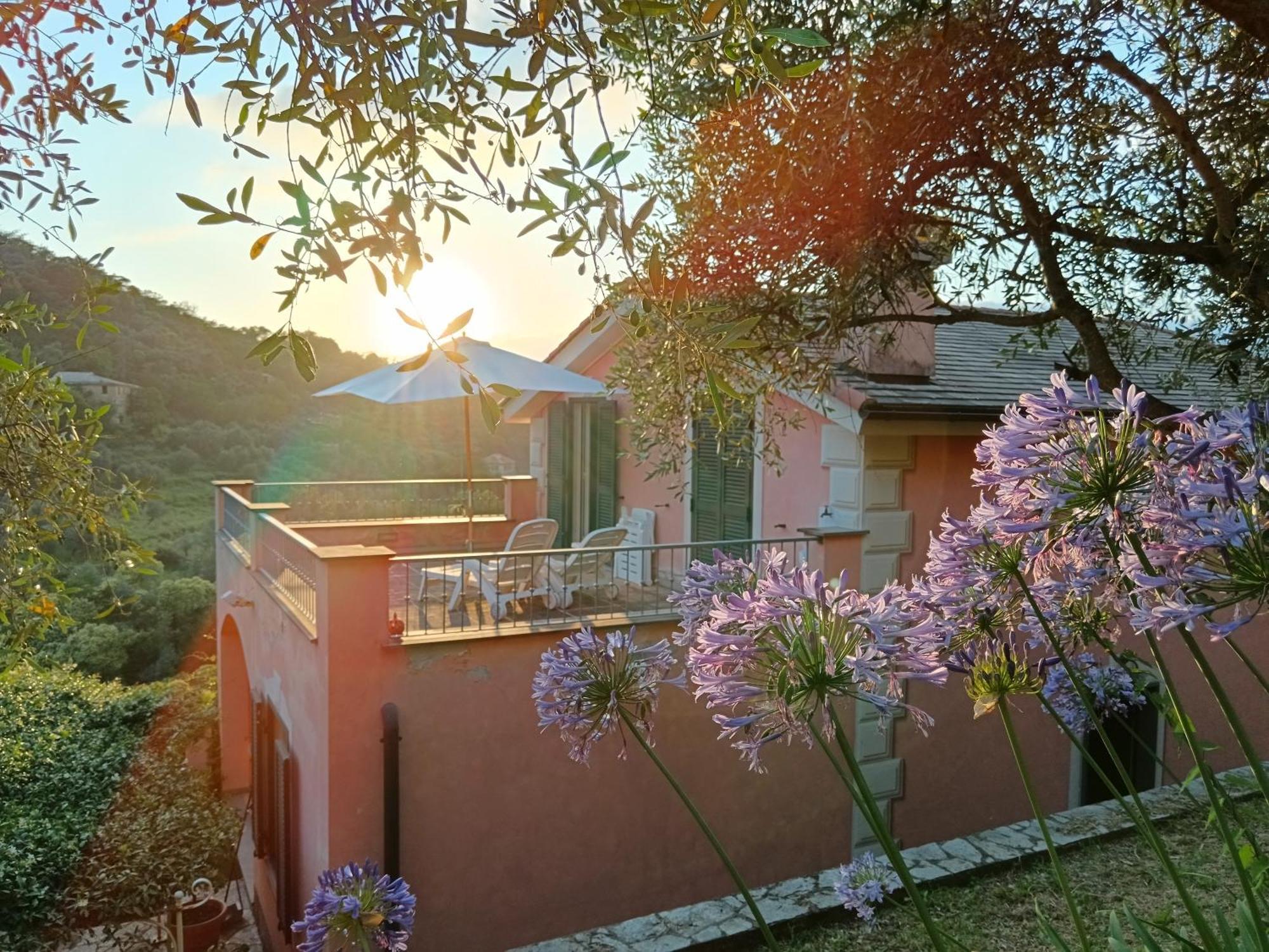 קמוגלי Villa Albachiara מראה חיצוני תמונה